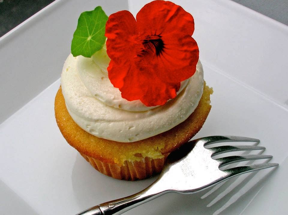 Pocket Garden | Edible Flowers | Cook's Garden | Summer Gift