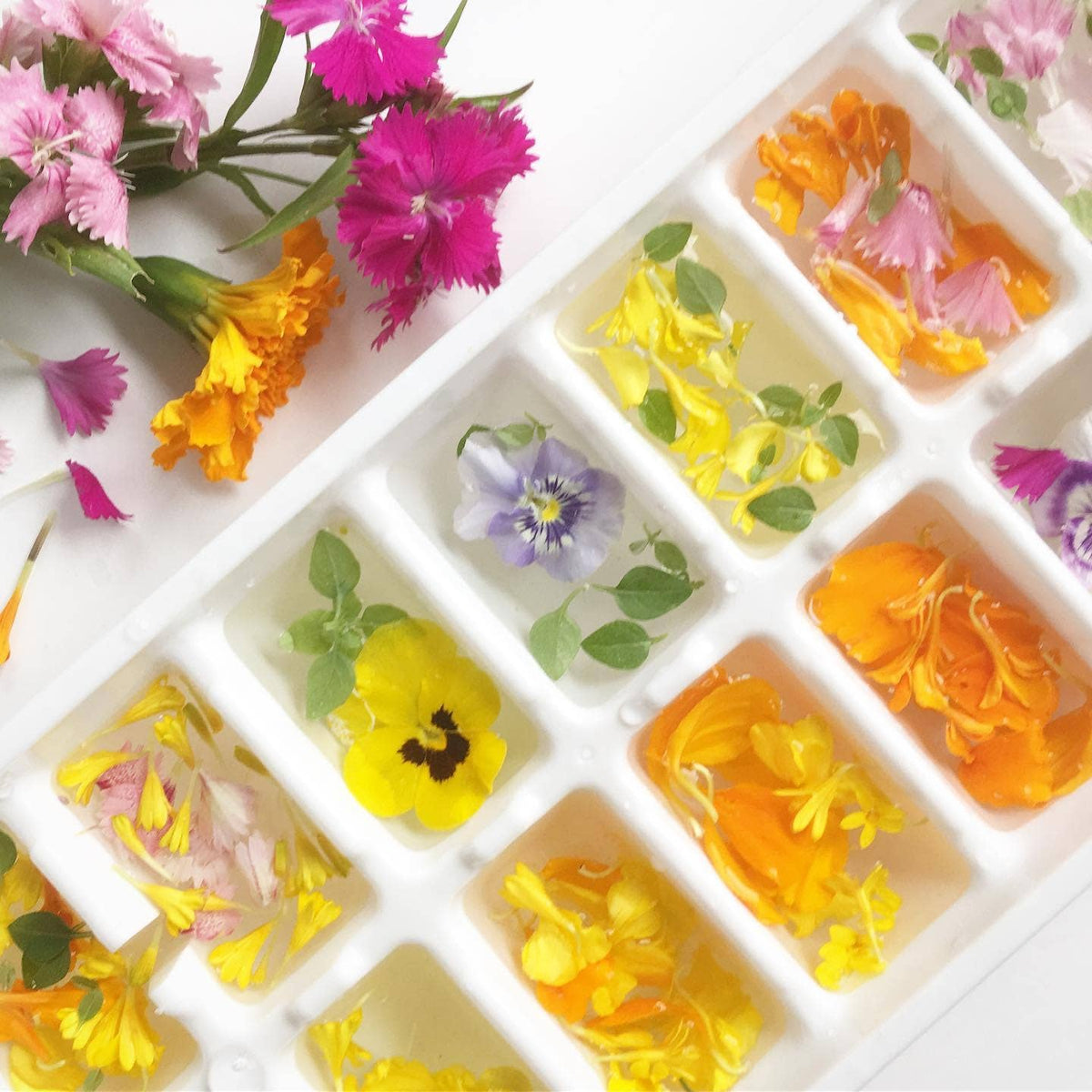 Pocket Garden | Edible Flowers | Cook's Garden | Summer Gift