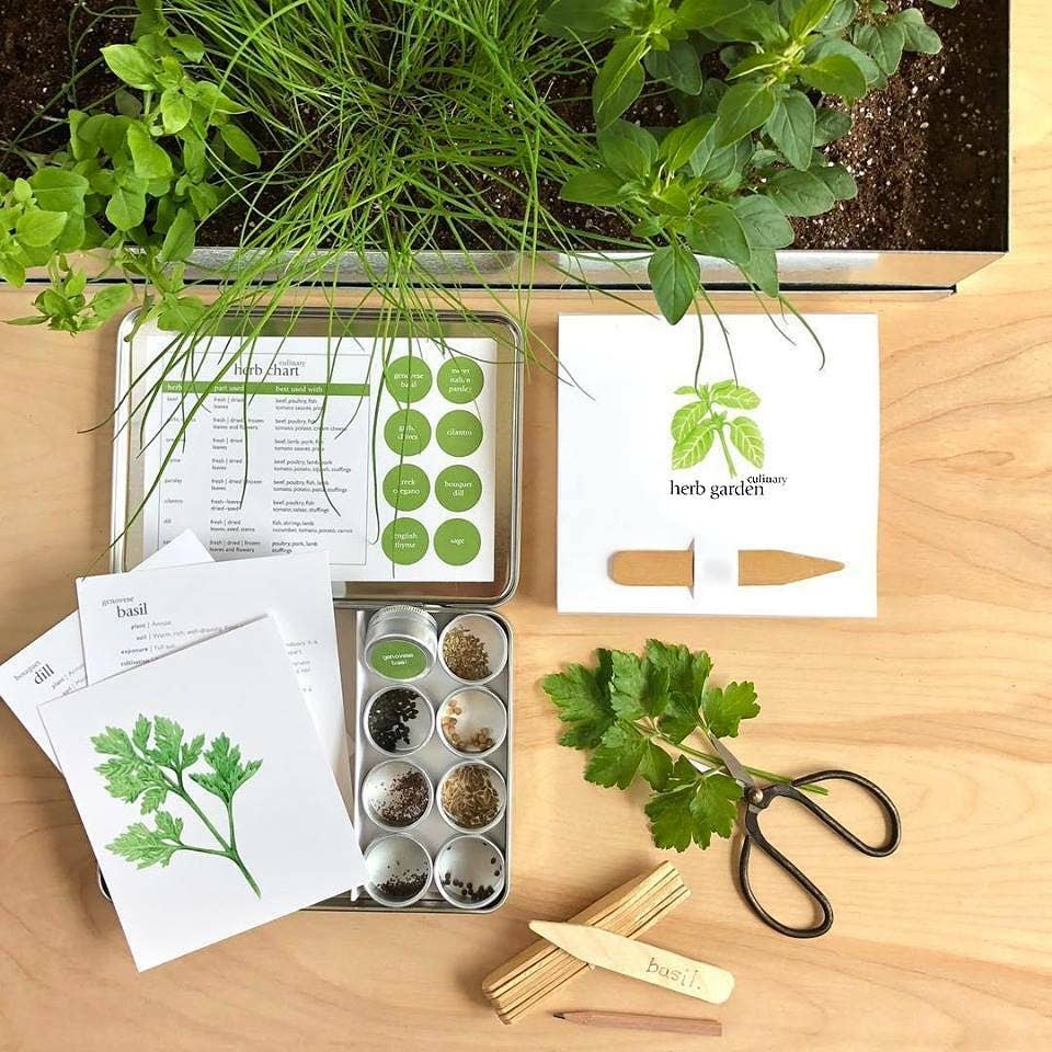 Garden Maker Culinary Herbs | Best Seller | Summer Cooking