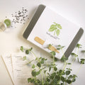 Garden Maker Culinary Herbs | Best Seller | Summer Cooking